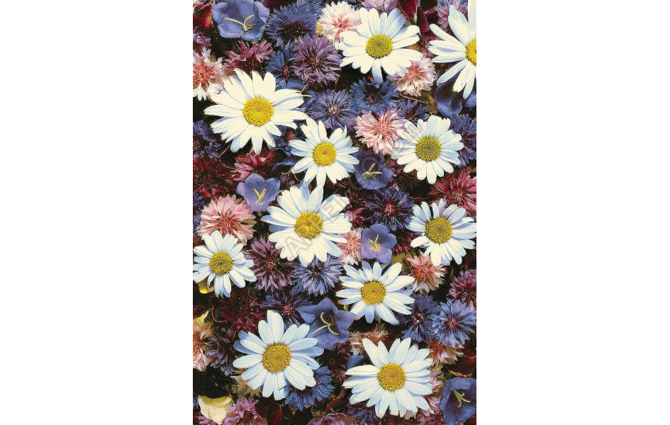 Шерстяной ковер Hunnu 6A2366 176 (Монголия)